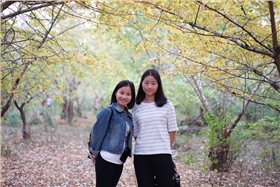 禾聚精密· 禾聚精密·